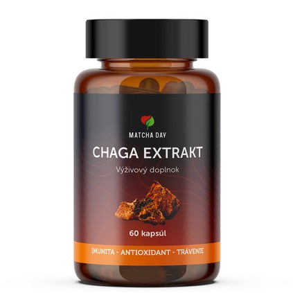 Čaga extrakt 60 kapsúl